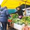 Продавець та покупці на продуктовому сільськогосподарському ярмарку в Києві — свіжі овочі та зелень просто від виробників