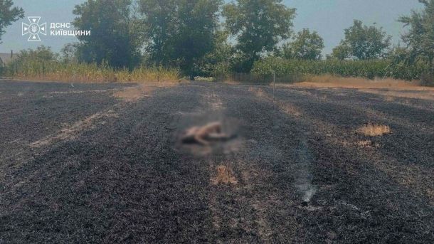 Рятувальники гасять пожежу стерні на приватному подвір'ї у селі Мазепинці Білоцерківського району — одна людина загинула