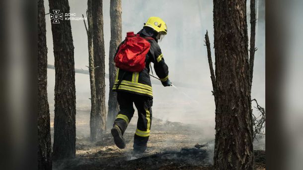 Вантажівка на М-05 у Гребінках спалахнула — перекрито праву смугу Рятувальники гасять масштабну лісову пожежу в Богданівському лісництві Вишгородського району Київщини