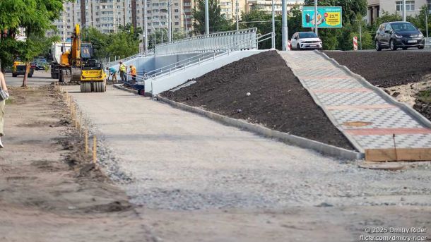 У Києві розквітло лавандове поле: понад 2000 кущів біля парку на Троєщині
